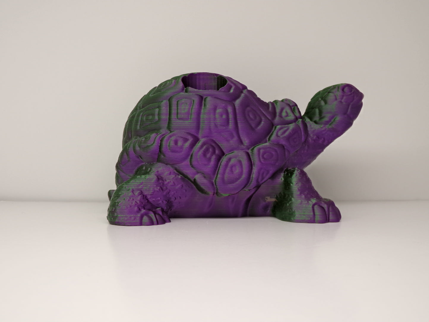 4 Pen Holder Turtle