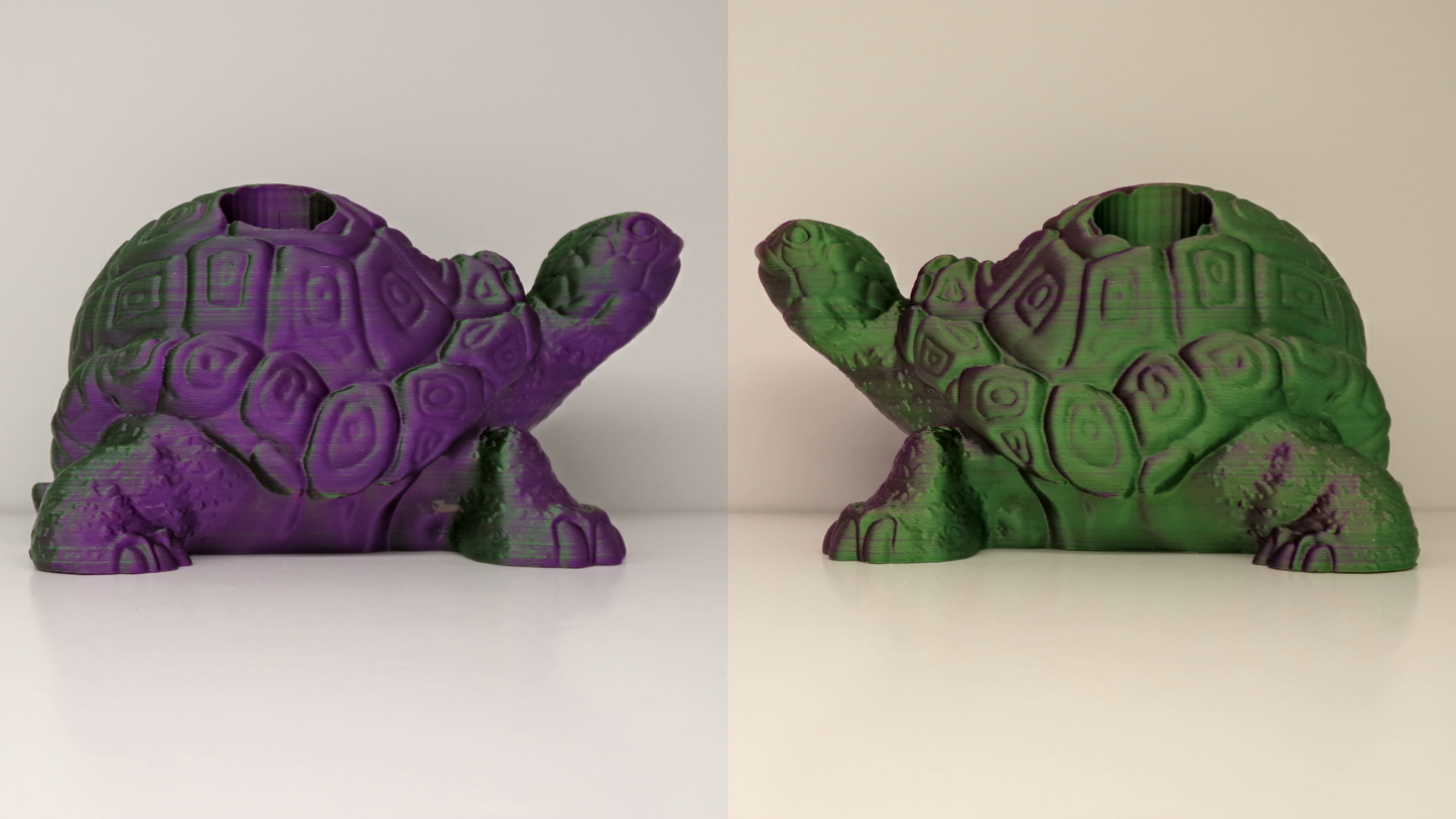 4 Pen Holder Turtle